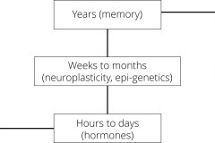 model-project-direction-life-behavior-evolution