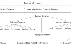 model-project-direction-life-complex-systems