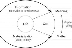 model-project-direction-life-gap