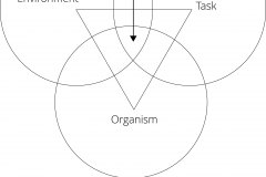 model-project-direction-life-organismal-movement-pattern