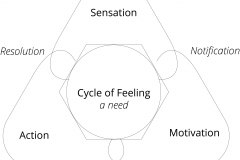 model-project-direction-need-cycle-sensation-motivation-action