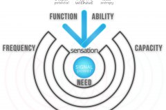 model-project-direction-need-tooling