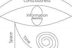 model-project-direction-plan-consciousness