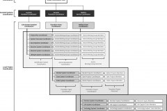 model-project-execution-contribution-auravana-organizational-chart-standards-coordinators-members