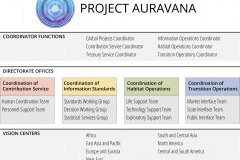 model-project-execution-contribution-auravana-organizational-coordinated-directorates