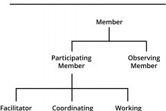 model-project-execution-contribution-service-membership-organizational-chart