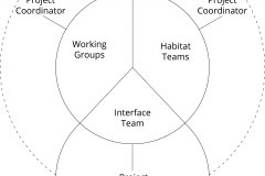model-project-execution-contribution-service-organization-coordinators-teams-groups-societies