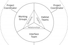 model-project-execution-contribution-service-organization-coordinators-teams-groups