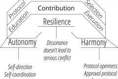 model-project-execution-contribution-team-member-resilience-autonomy-harmony