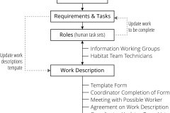 model-project-execution-contribution-team-work-descriptions-coordination-roles