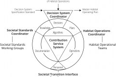 model-project-execution-contribution-transition-service-systems