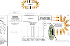 model-project-execution-market-tokenization