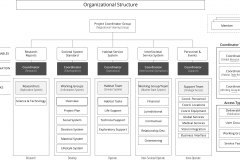 model-project-execution-organizational-chart