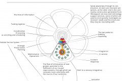 model-project-execution-team-intersystems-view