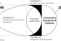 model-project-execution-transition-capitalism-community-political-will