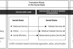 model-project-execution-transition-justice-police-market-state-community-medical