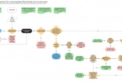 model-project-plan-license-selection-decision-flow-chart