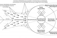 model-overview-transition-forces-market-state-community-individuals