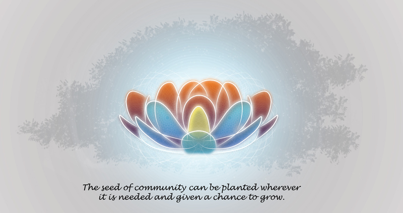 Lotus flow with the phrase the seed of community can be planted wherever it is needed and given a chance to grow.